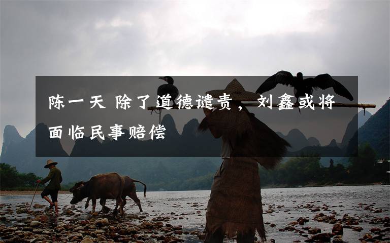 陈一天 除了道德谴责，刘鑫或将面临民事赔偿文章配图