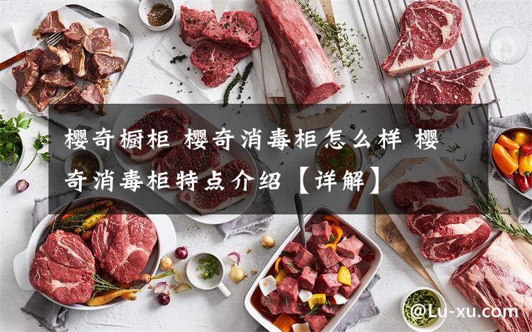樱奇橱柜 樱奇消毒柜怎么样 樱奇消毒柜特点介绍【详解】文章配图