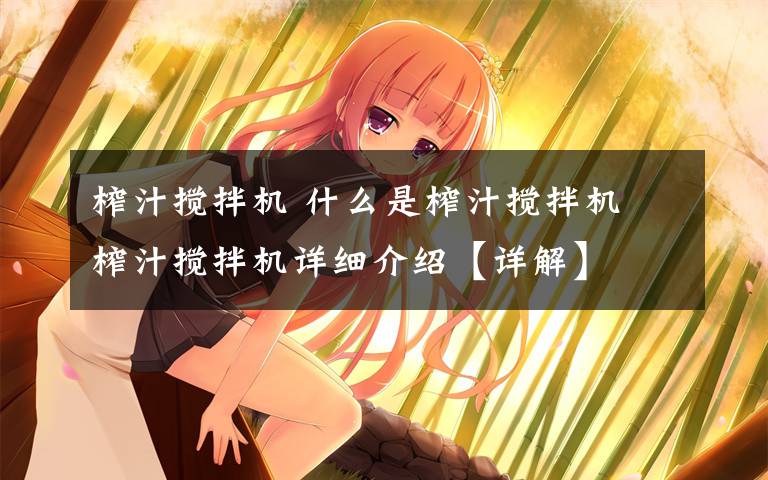 榨汁搅拌机 什么是榨汁搅拌机 榨汁搅拌机详细介绍【详解】文章配图