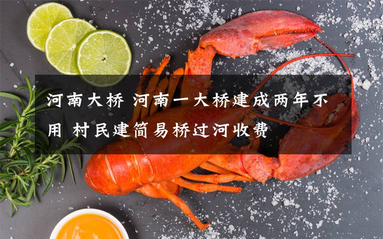 河南大桥 河南一大桥建成两年不用 村民建简易桥过河收费文章配图
