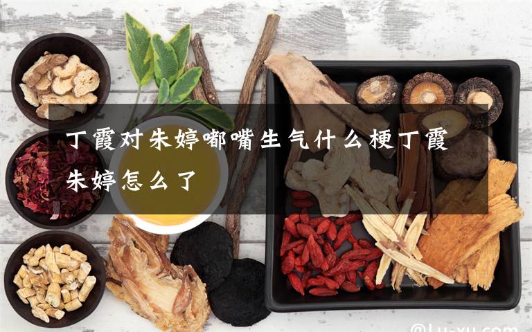 丁霞对朱婷嘟嘴生气什么梗丁霞朱婷怎么了文章配图