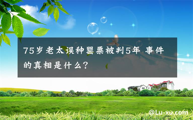 75岁老太误种罂粟被判5年 事件的真相是什么？文章配图