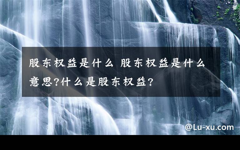 股东权益是什么 股东权益是什么意思?什么是股东权益?文章配图