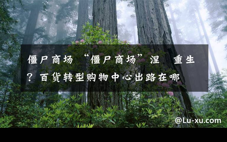 僵尸商场 “僵尸商场”涅槃重生？百货转型购物中心出路在哪文章配图