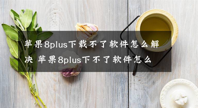 苹果8plus下载不了软件怎么解决 苹果8plus下不了软件怎么回事