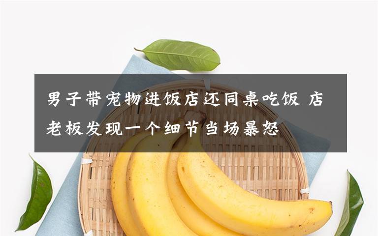 男子带宠物进饭店还同桌吃饭 店老板发现一个细节当场暴怒文章配图