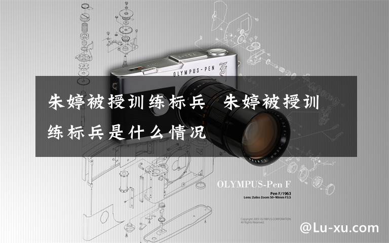 朱婷被授训练标兵  朱婷被授训练标兵是什么情况文章配图