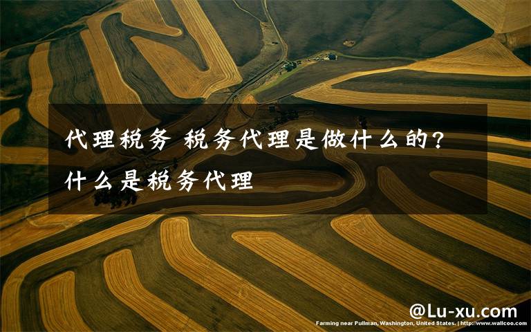 代理税务 税务代理是做什么的?什么是税务代理文章配图