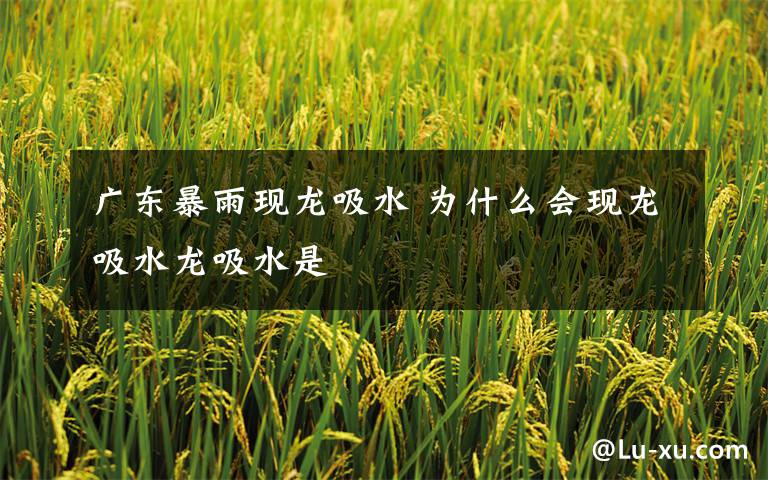 广东暴雨现龙吸水 为什么会现龙吸水龙吸水是文章配图