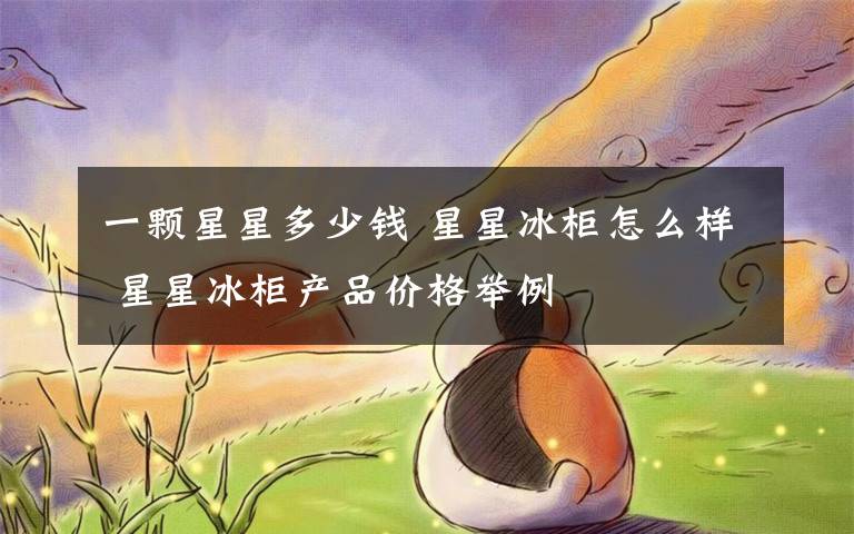 一颗星星多少钱 星星冰柜怎么样 星星冰柜产品价格举例文章配图