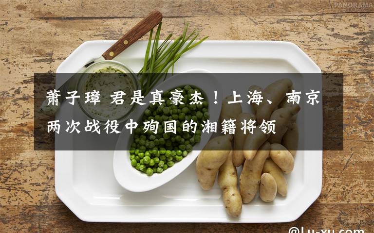 萧子璋 君是真豪杰！上海、南京两次战役中殉国的湘籍将领文章配图