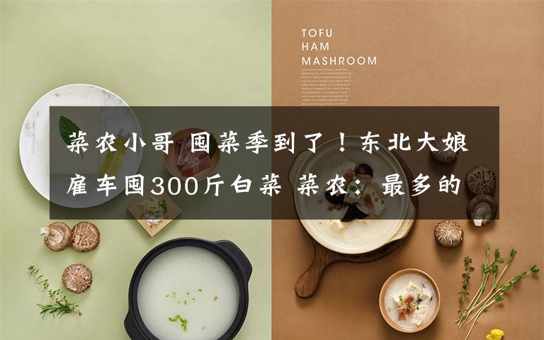 菜农小哥 囤菜季到了！东北大娘雇车囤300斤白菜 菜农：最多的有买1000斤的文章配图
