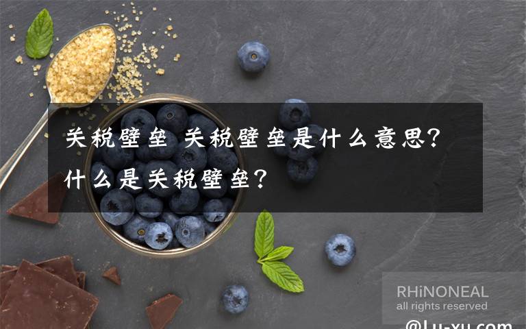 关税壁垒 关税壁垒是什么意思？什么是关税壁垒？文章配图