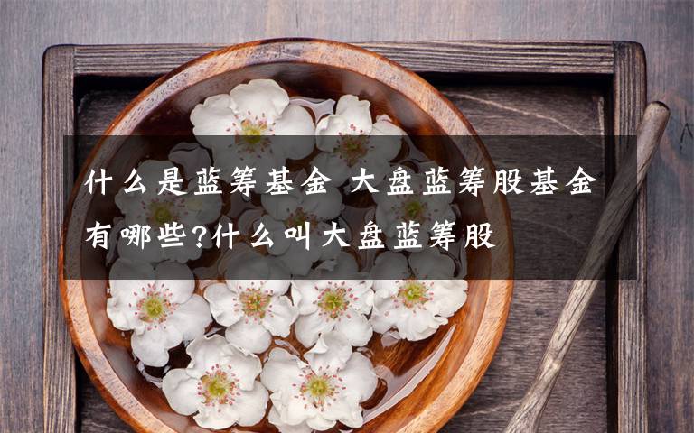 什么是蓝筹基金 大盘蓝筹股基金有哪些?什么叫大盘蓝筹股文章配图