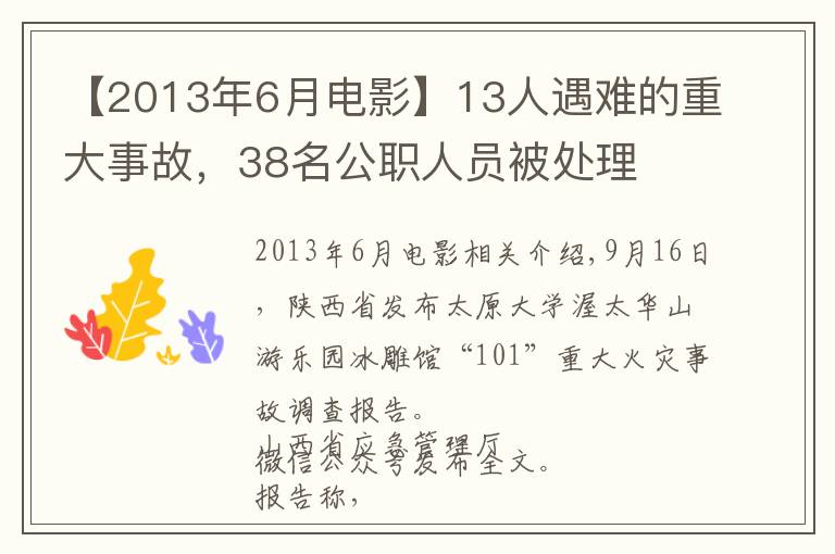 【2013年6月电影】13人遇难的重大事故，38名公职人员被处理