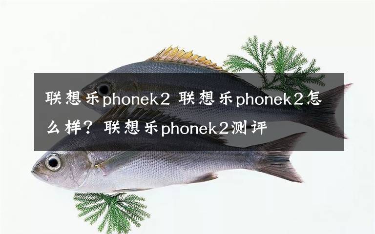 联想乐phonek2 联想乐phonek2怎么样？联想乐phonek2测评文章配图