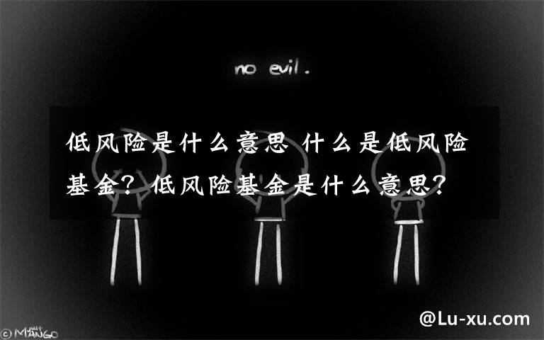 低风险是什么意思 什么是低风险基金？低风险基金是什么意思？文章配图