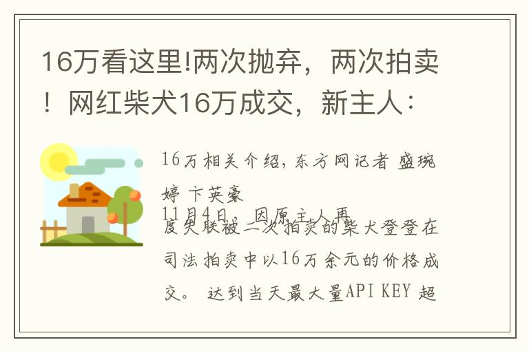 16万看这里!两次抛弃，两次拍卖！网红柴犬16万成交，新主人：任何条件都不会交还