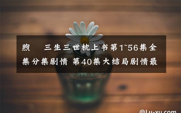 煦旸 三生三世枕上书第1~56集全集分集剧情 第40集大结局剧情最新预告文章配图
