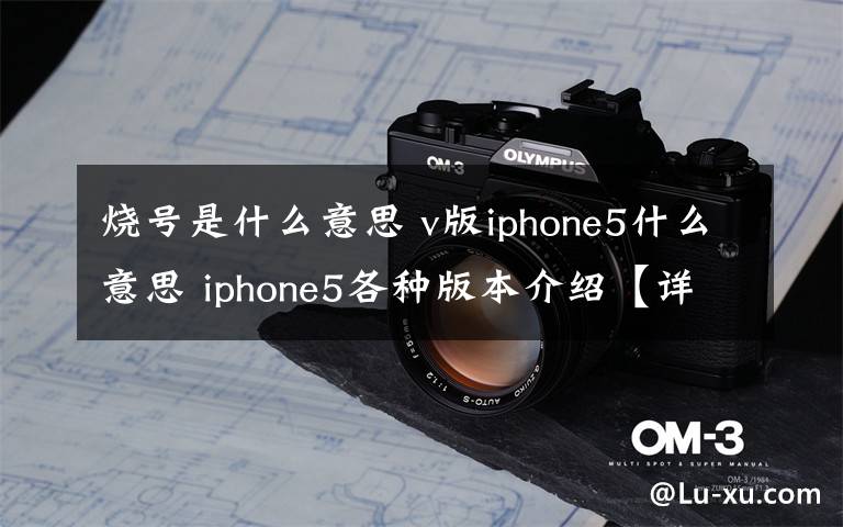 烧号是什么意思 v版iphone5什么意思 iphone5各种版本介绍【详解】文章配图
