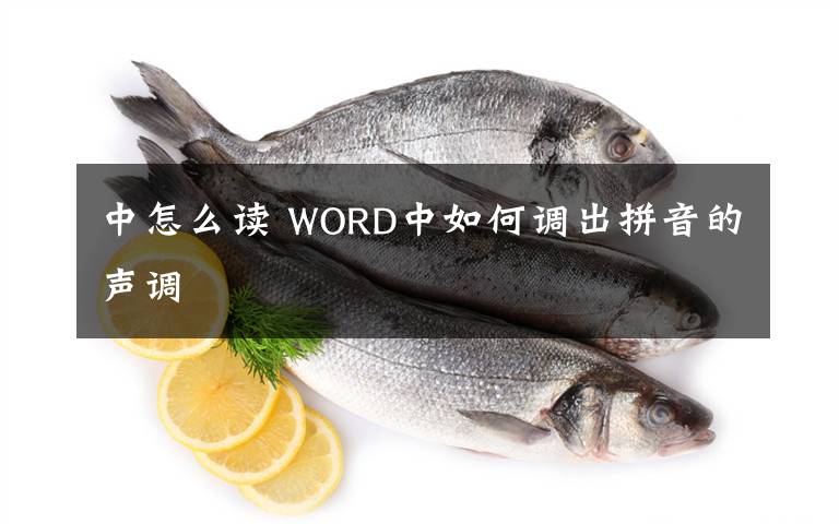 中怎么读 WORD中如何调出拼音的声调文章配图
