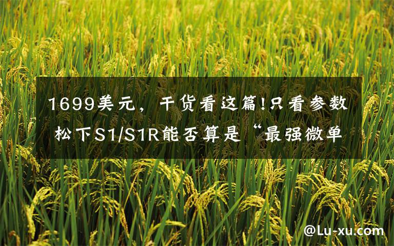 1699美元，干货看这篇!只看参数 松下S1/S1R能否算是“最强微单”？文章配图