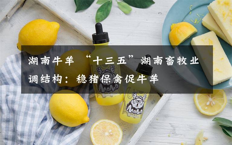 湖南牛羊 “十三五”湖南畜牧业调结构：稳猪保禽促牛羊文章配图