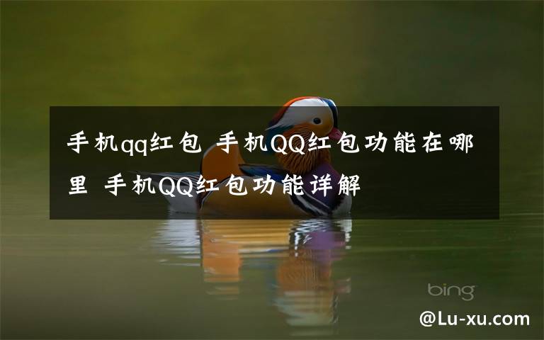 手机qq红包 手机QQ红包功能在哪里 手机QQ红包功能详解文章配图