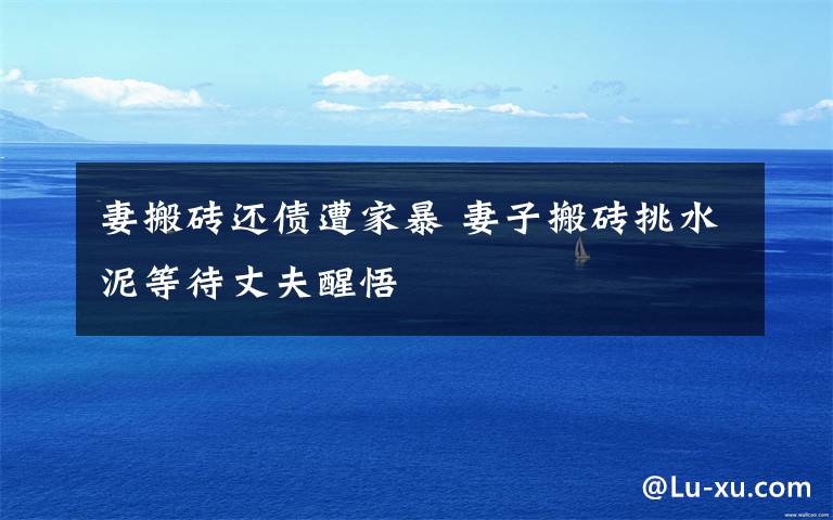 妻搬砖还债遭家暴 妻子搬砖挑水泥等待丈夫醒悟文章配图