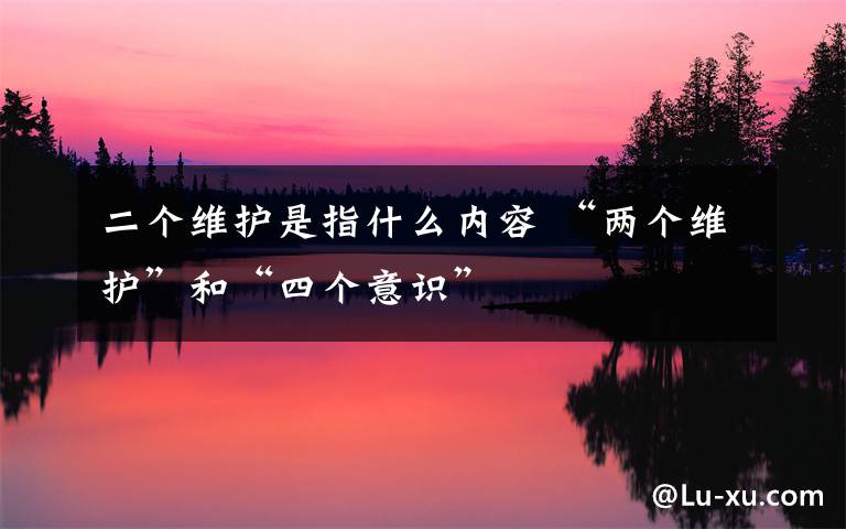 二个维护是指什么内容 “两个维护”和“四个意识”文章配图