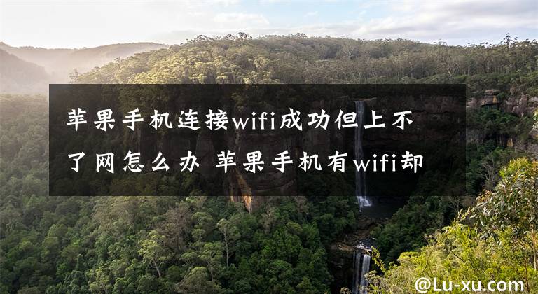 苹果手机连接wifi成功但上不了网怎么办 苹果手机有wifi却上不了网怎么办文章配图