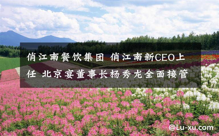 俏江南餐饮集团 俏江南新CEO上任 北京宴董事长杨秀龙全面接管