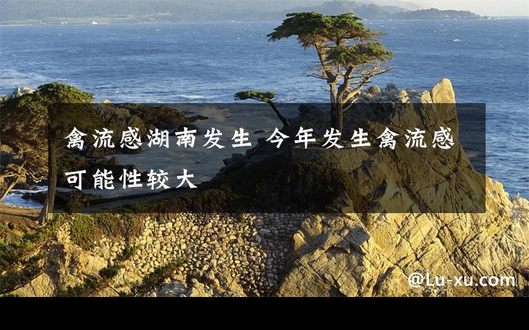 禽流感湖南发生 今年发生禽流感可能性较大文章配图