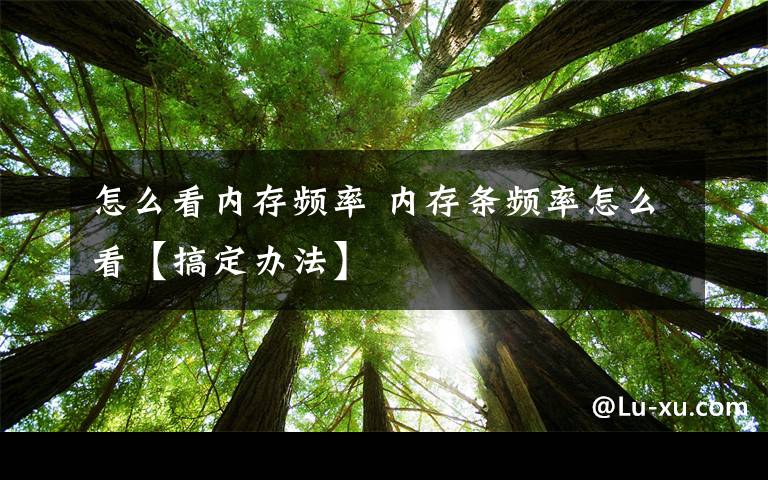 怎么看内存频率 内存条频率怎么看【搞定办法】文章配图