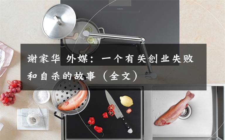谢家华 外媒：一个有关创业失败和自杀的故事（全文）文章配图