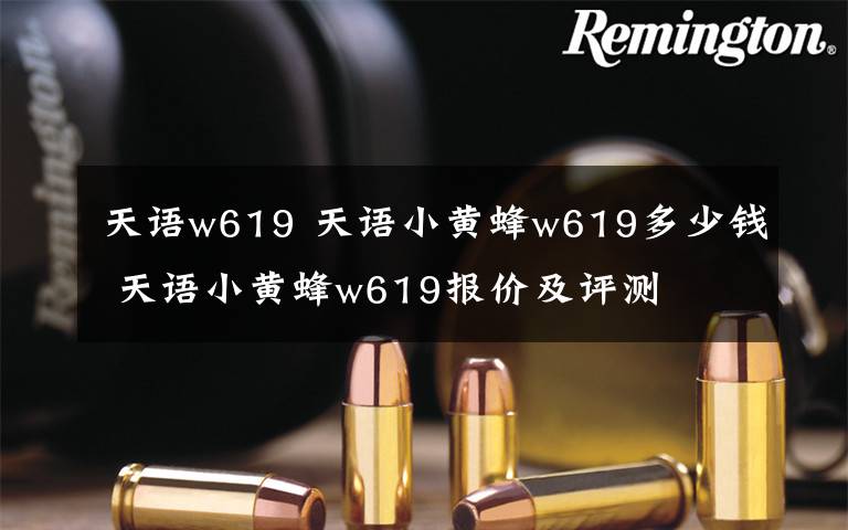 天语w619 天语小黄蜂w619多少钱 天语小黄蜂w619报价及评测文章配图