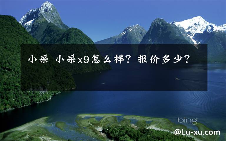 小采 小采x9怎么样？报价多少？文章配图