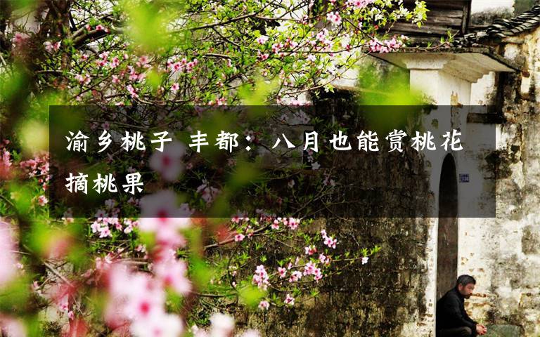 渝乡桃子 丰都：八月也能赏桃花摘桃果文章配图