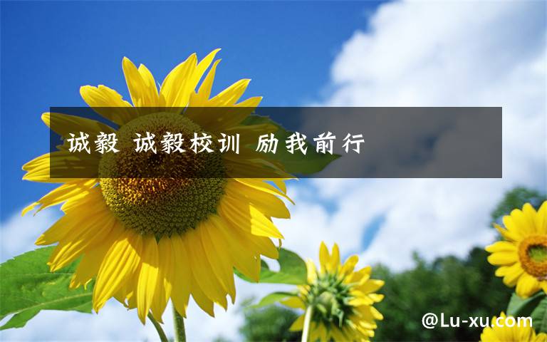 诚毅 诚毅校训 励我前行文章配图