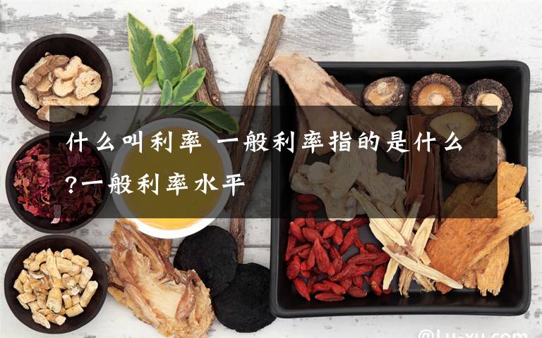 什么叫利率 一般利率指的是什么?一般利率水平文章配图