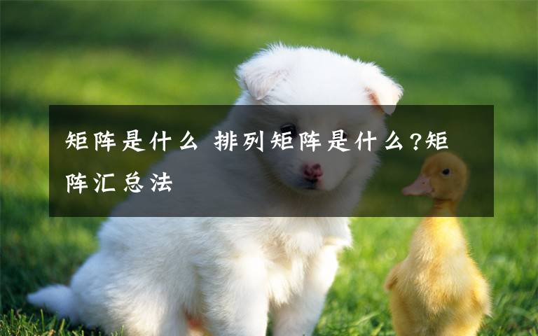 矩阵是什么 排列矩阵是什么?矩阵汇总法文章配图