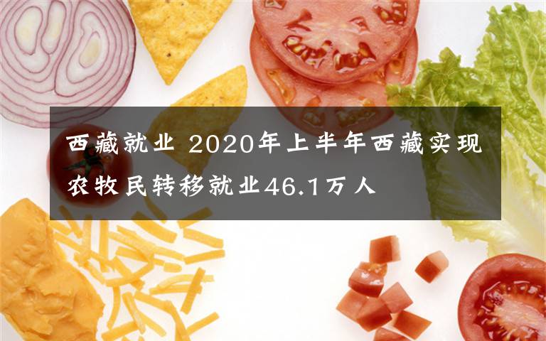 西藏就业 2020年上半年西藏实现农牧民转移就业46.1万人