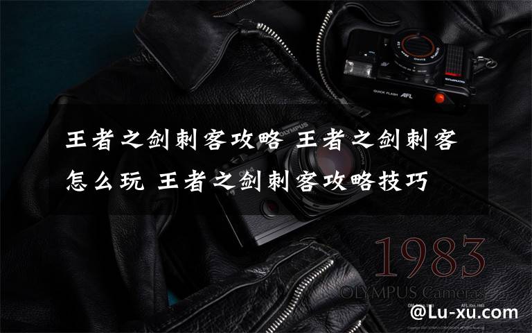 王者之剑刺客攻略 王者之剑刺客怎么玩 王者之剑刺客攻略技巧文章配图