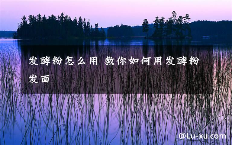 发酵粉怎么用 教你如何用发酵粉发面文章配图