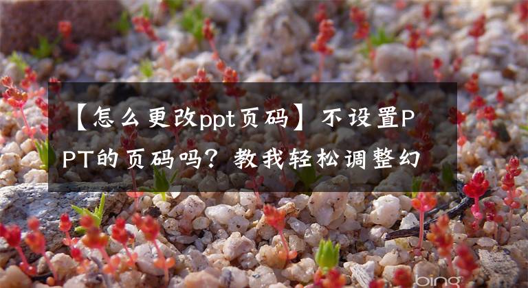 【怎么更改ppt页码】不设置PPT的页码吗？教我轻松调整幻灯片页码位置和格式！文章配图
