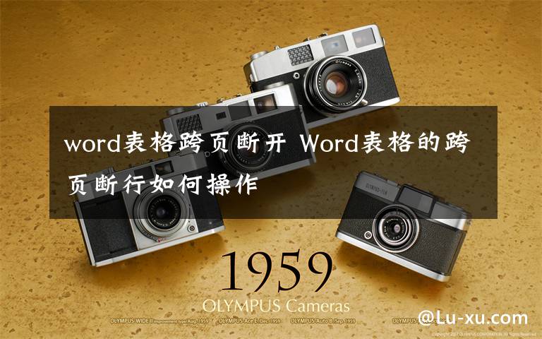 word表格跨页断开 Word表格的跨页断行如何操作文章配图