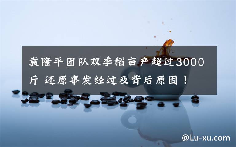 袁隆平团队双季稻亩产超过3000斤 还原事发经过及背后原因！