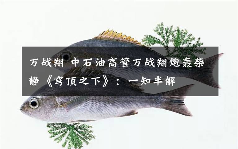 万战翔 中石油高管万战翔炮轰柴静《穹顶之下》：一知半解文章配图