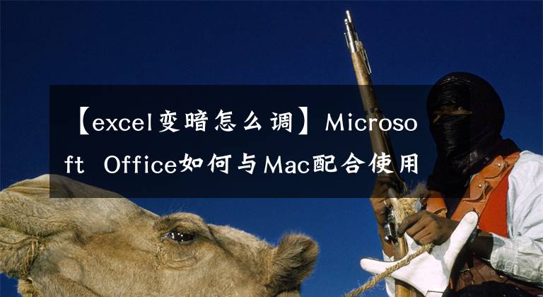 【excel变暗怎么调】Microsoft Office如何与Mac配合使用文章配图