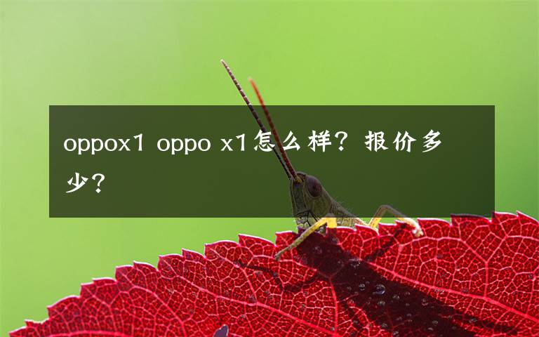 oppox1 oppo x1怎么样？报价多少？文章配图